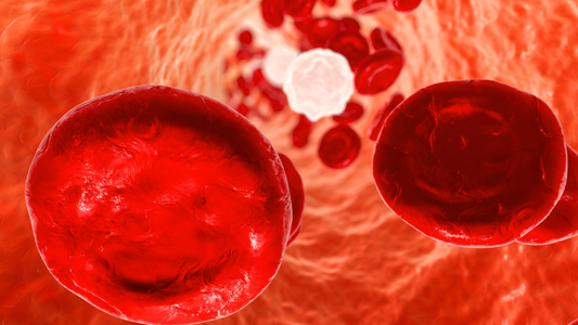 an image of red blood cells