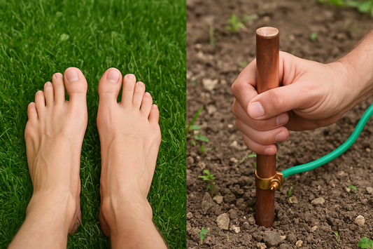 What is the Difference Between Earthing and Grounding?