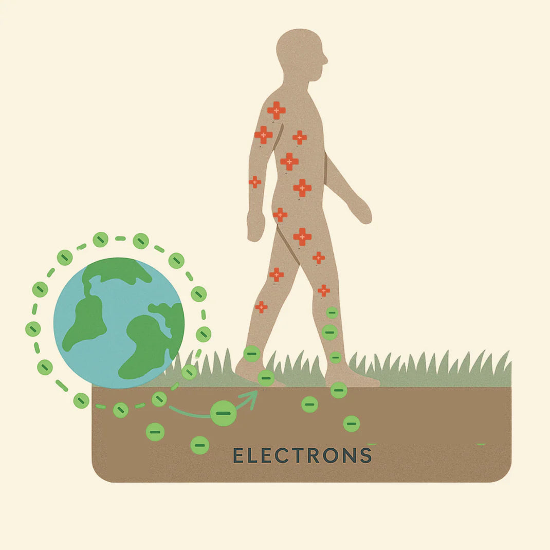 Diagram showing how grounding transfers electrons from the Earth to the body for inflammation and stress relief